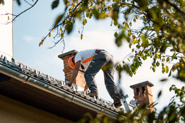 Best Roof Gutter Cleaning  in Glouster, OH