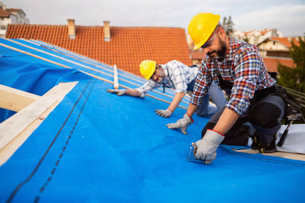 Best Roof Leak Repair  in Glouster, OH